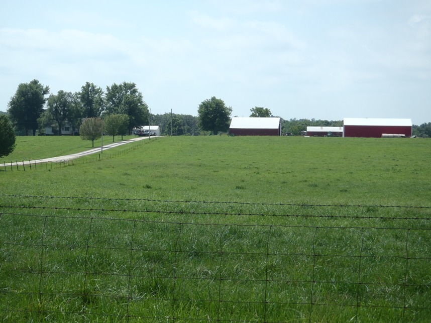 Read more about the article Orf Land & Cattle Co., L.L.C. Auction