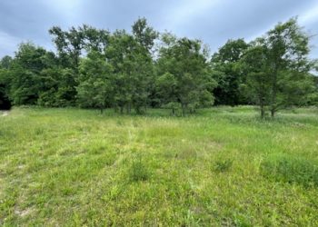 #167 Price Reduced