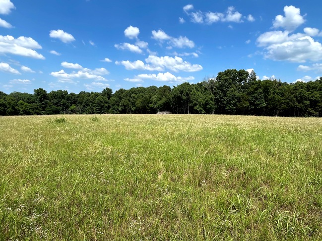 Read more about the article John & Nicole Dunard Absolute Real Estate Auction 🗓